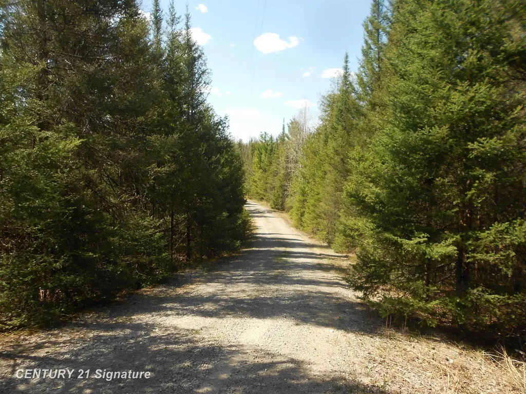590 Fleetwater Drive Big Creek Township MI 48636