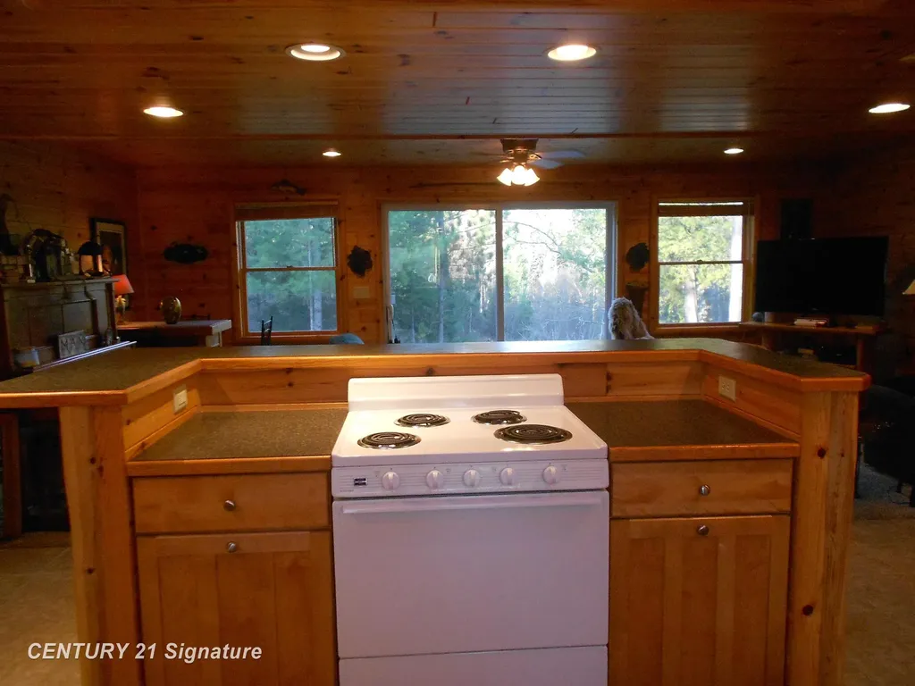 590 Fleetwater Drive Big Creek Township MI 48636