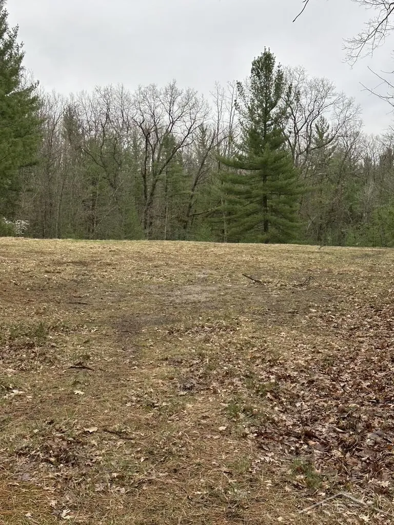 Vl Pineview Court Moffatt Township MI 48610