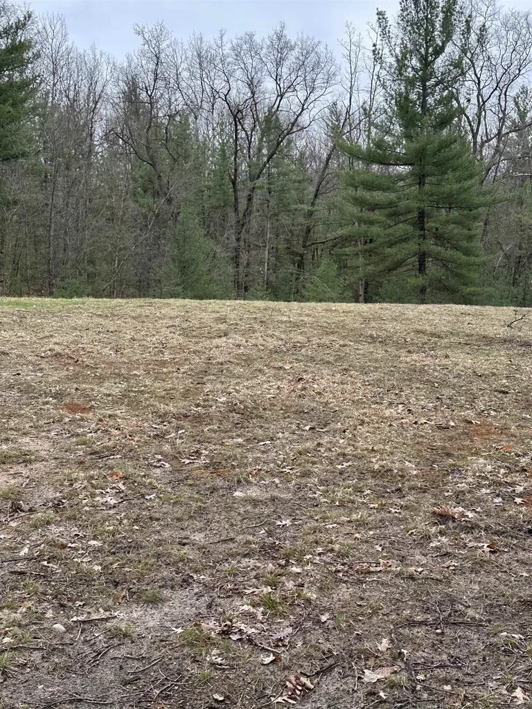 Vl Pineview Court Moffatt Township MI 48610