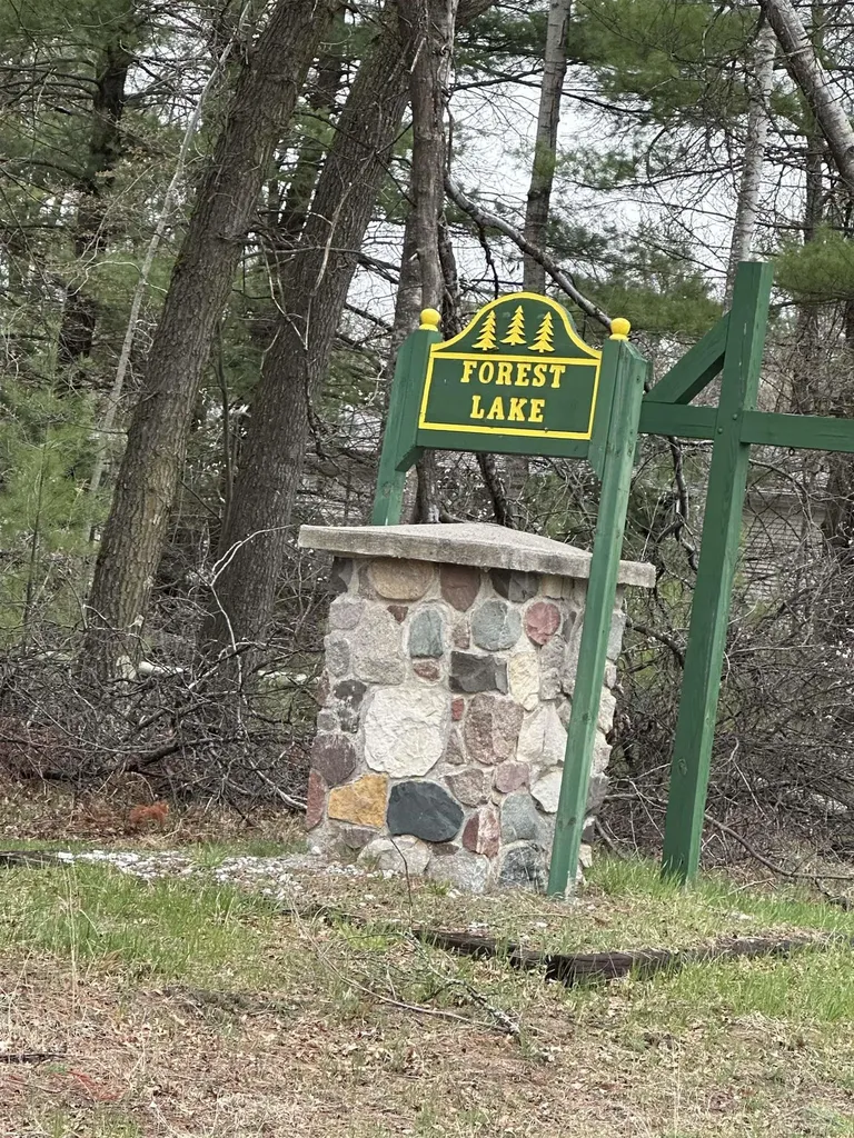 Vl Pineview Court Moffatt Township MI 48610