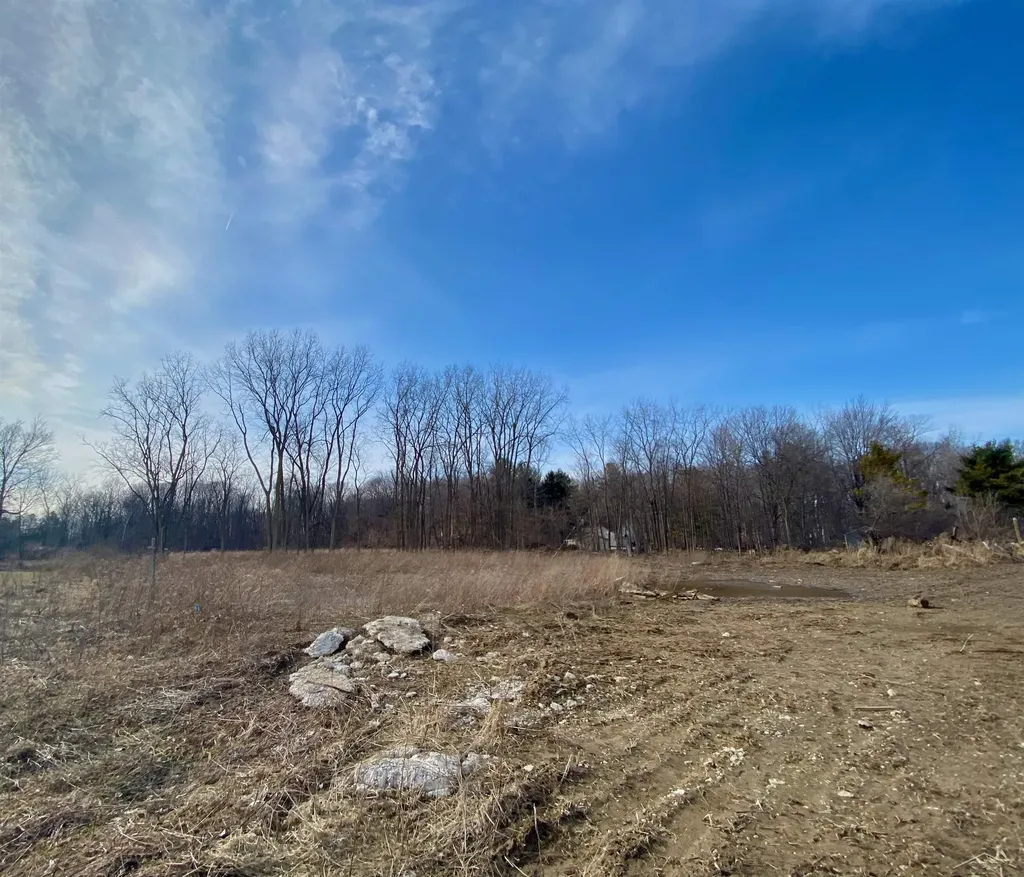 #18 Eagle Forest Drive Tittabawassee Township MI 48623