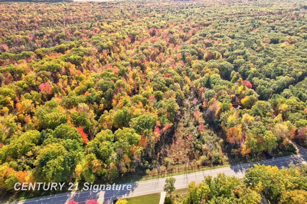 V/l Port Austin Road Lake Township MI 48725