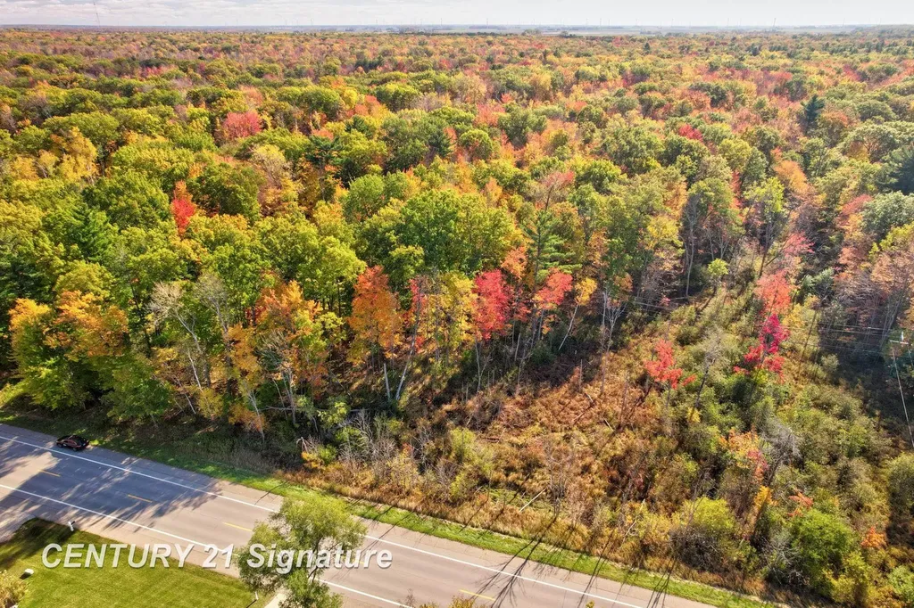 V/l Port Austin Road Lake Township MI 48725