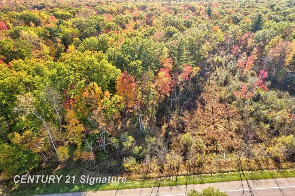 V/l Port Austin Road Lake Township MI 48725