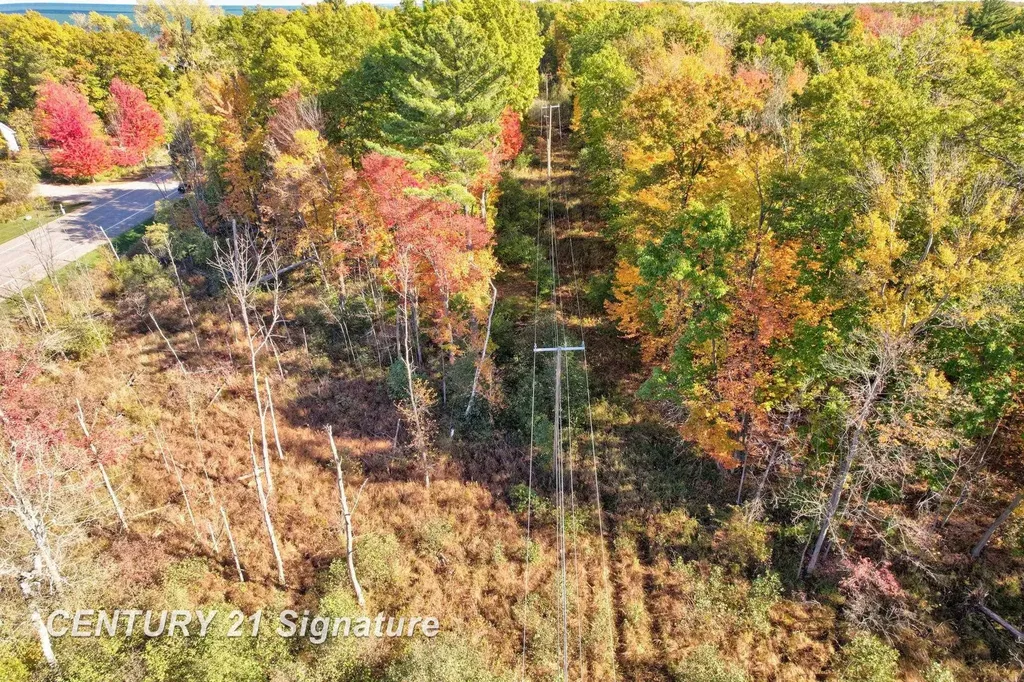 V/l Port Austin Road Lake Township MI 48725