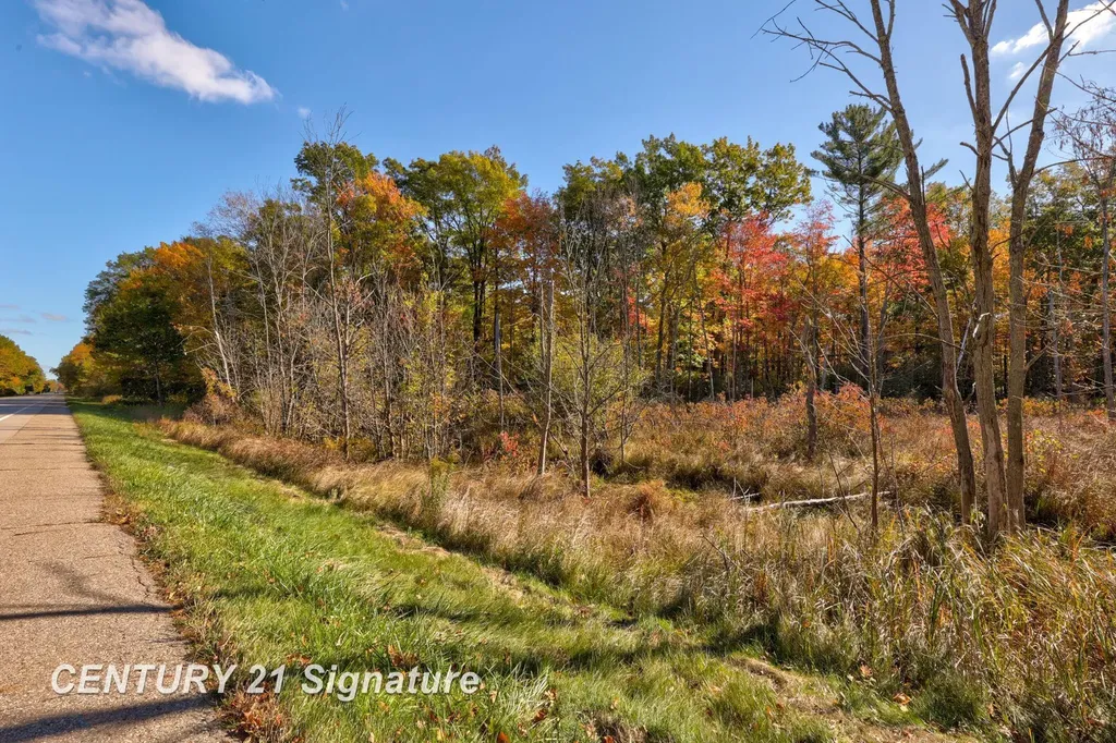 V/l Port Austin Road Lake Township MI 48725