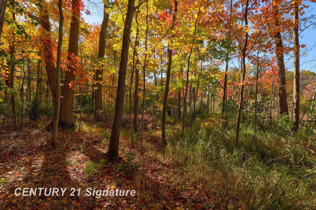 V/l Port Austin Road Lake Township MI 48725