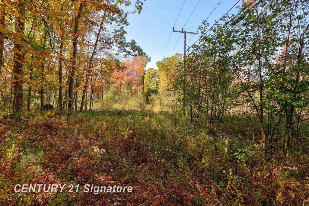 V/l Port Austin Road Lake Township MI 48725