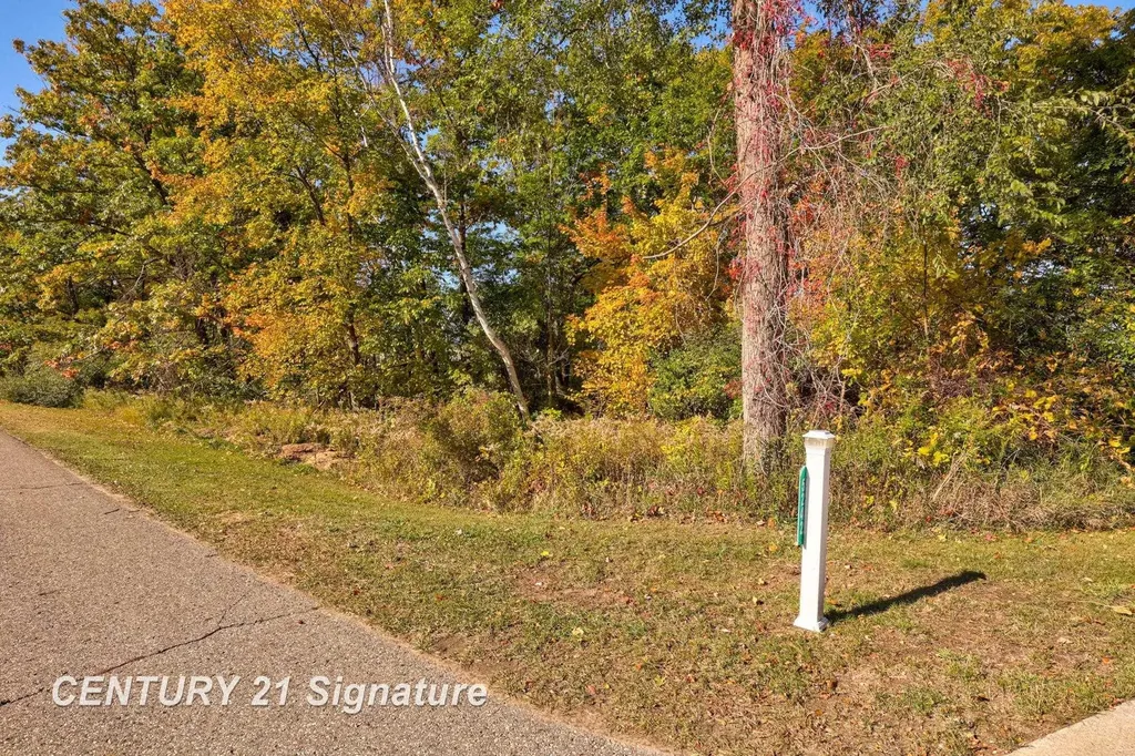 V/l Port Austin Road Lake Township MI 48725