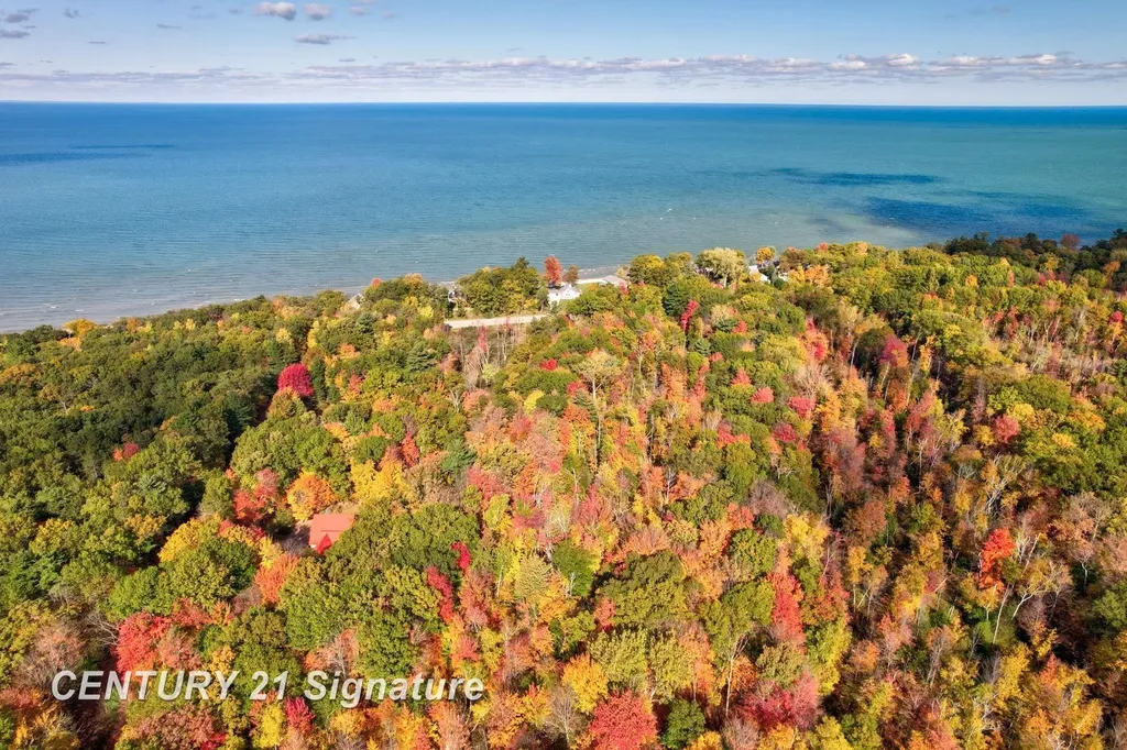 V/l Port Austin Road Lake Township MI 48725