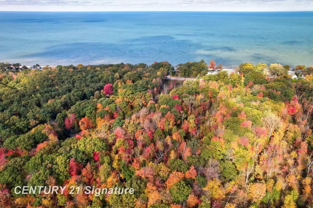 V/l Port Austin Road Lake Township MI 48725