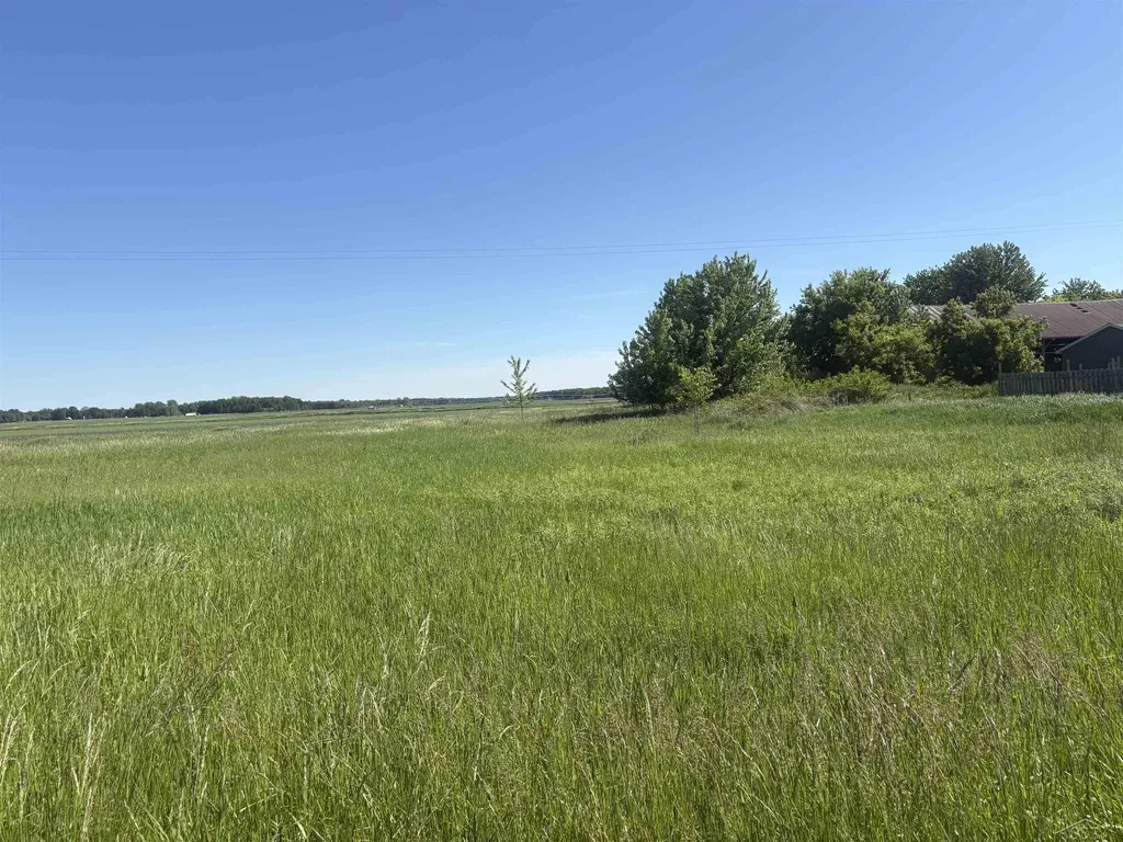 0 Swan Creek Road Fremont Township MI 48626