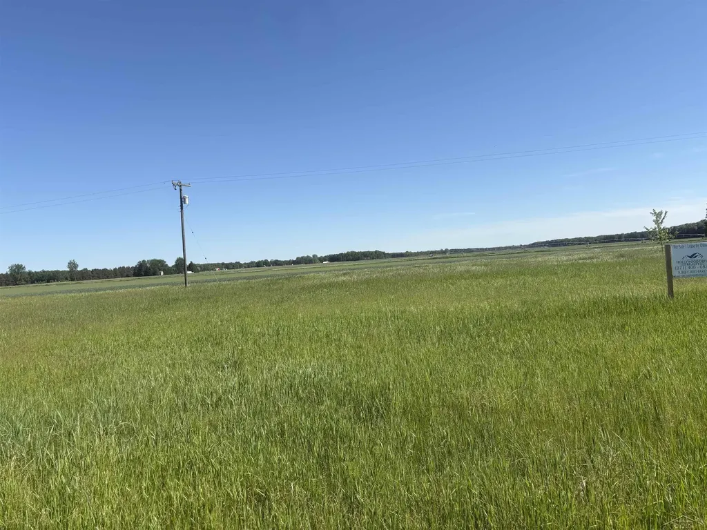 0 Swan Creek Road Fremont Township MI 48626