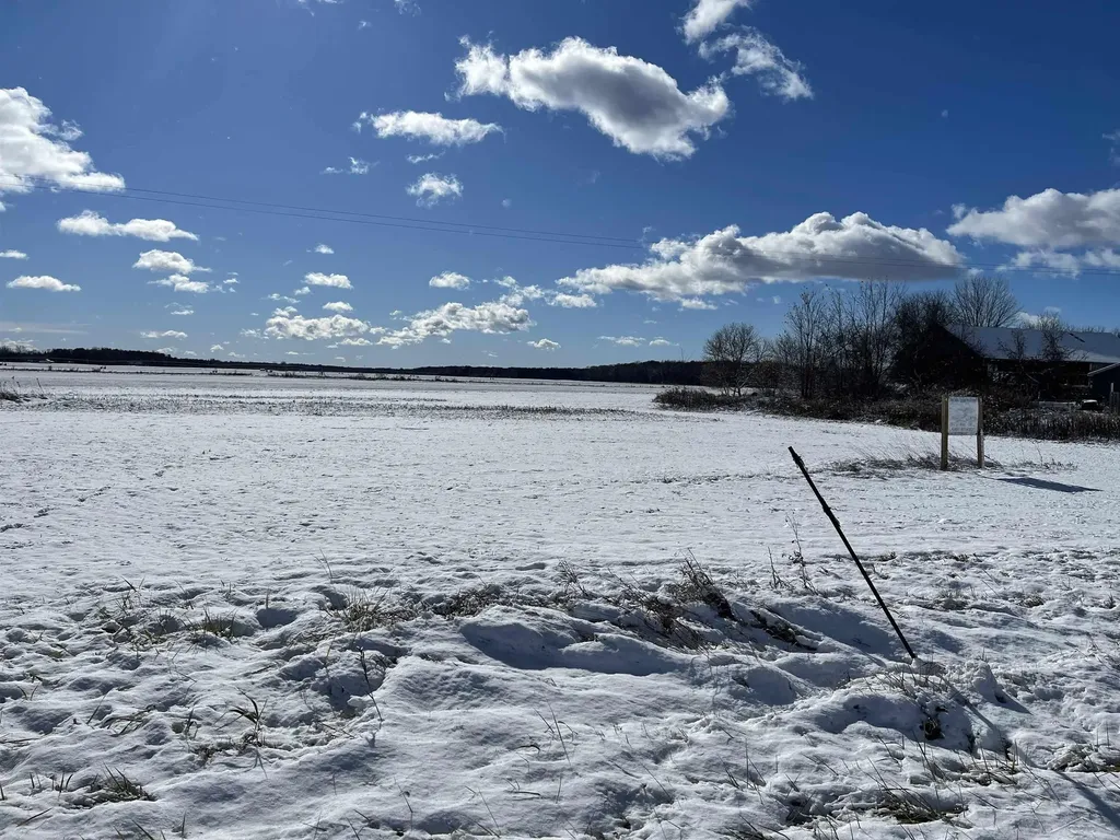0 Swan Creek Road Fremont Township MI 48626
