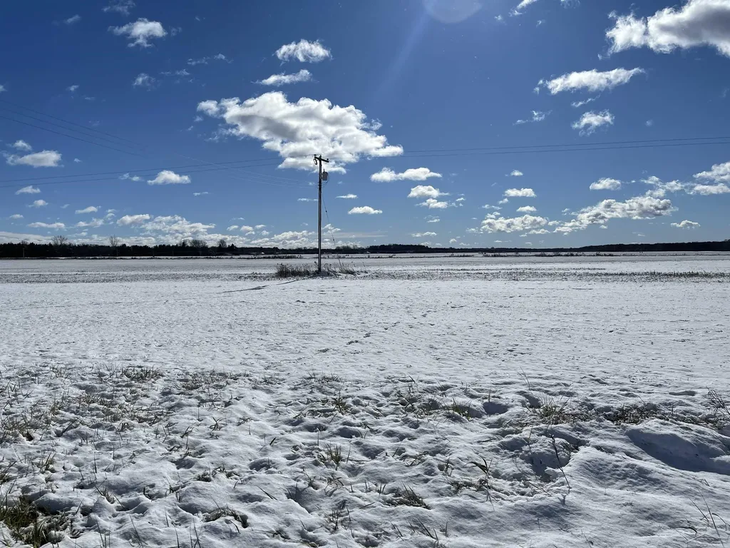 0 Swan Creek Road Fremont Township MI 48626