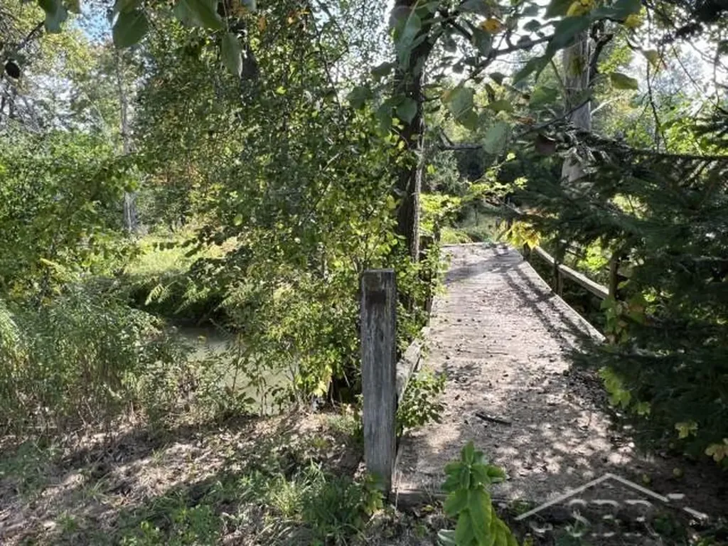9013 S Shepherd Road Coe Township MI 48883