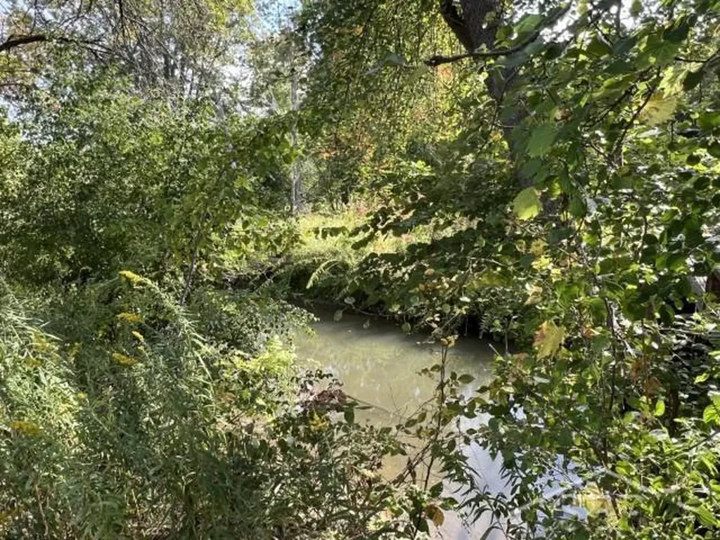 9013 S Shepherd Road Coe Township MI 48883