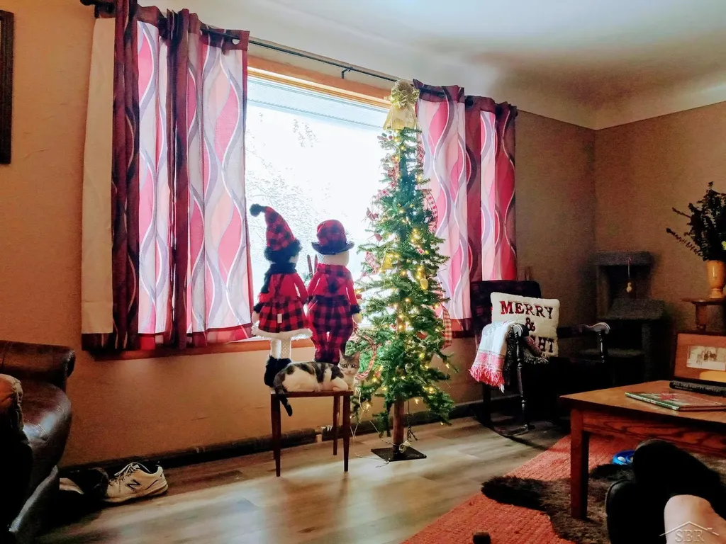 315 Blondin Street Pinconning Township MI 48650