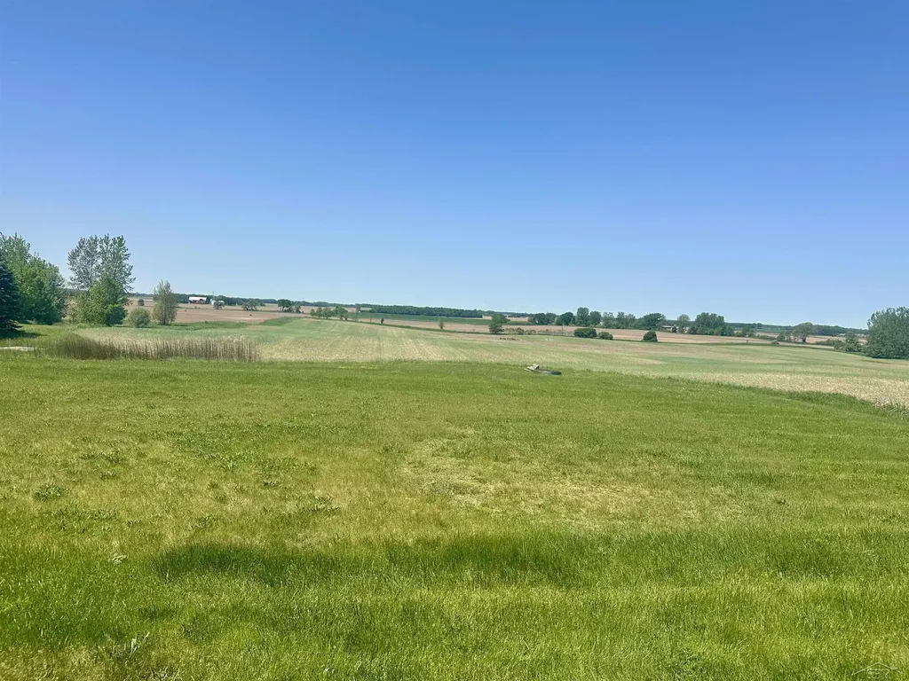 2649 Colwood Road Almer Township MI 48723