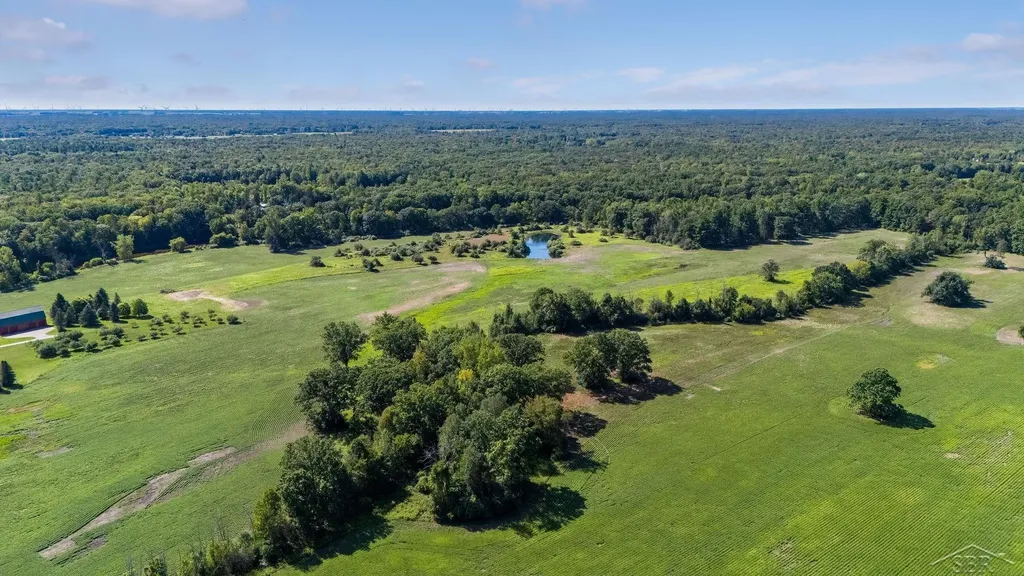 456/458 E Chippewa River Road Homer Township MI 48640