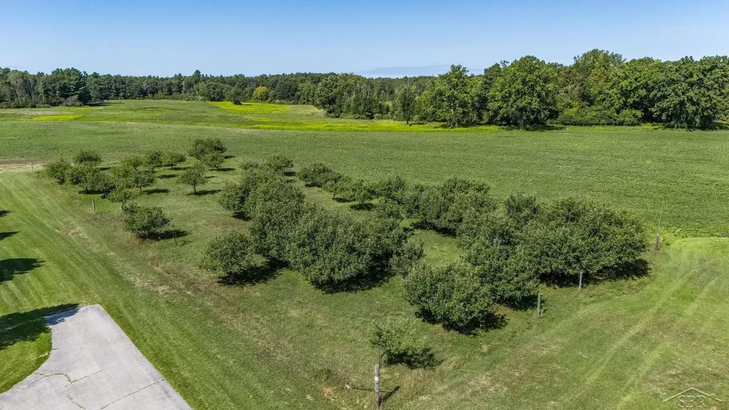 456/458 E Chippewa River Road Homer Township MI 48640