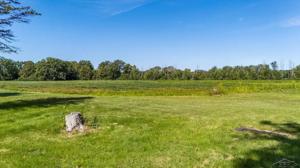 456/458 E Chippewa River Road Homer Township MI 48640