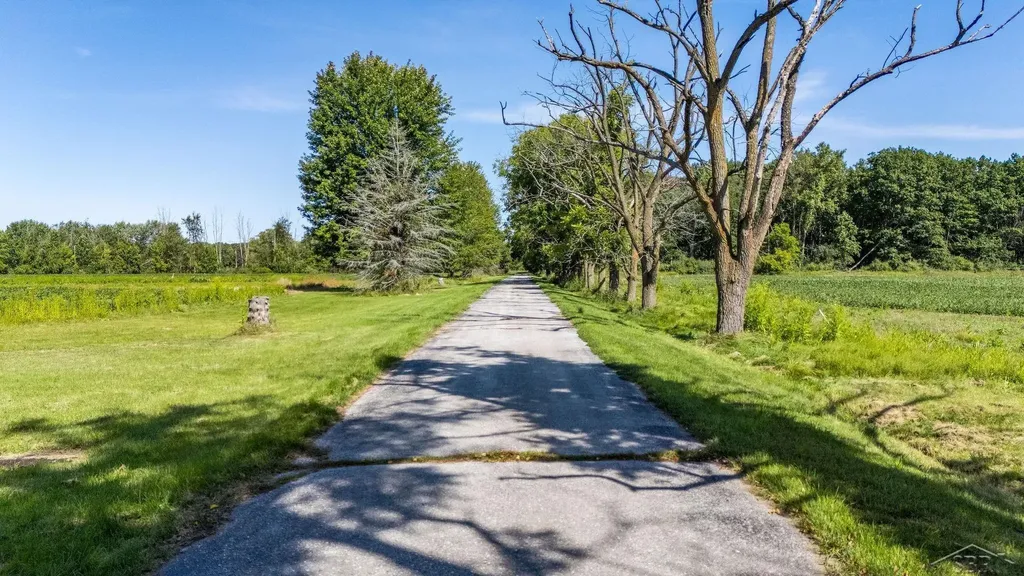 456/458 E Chippewa River Road Homer Township MI 48640