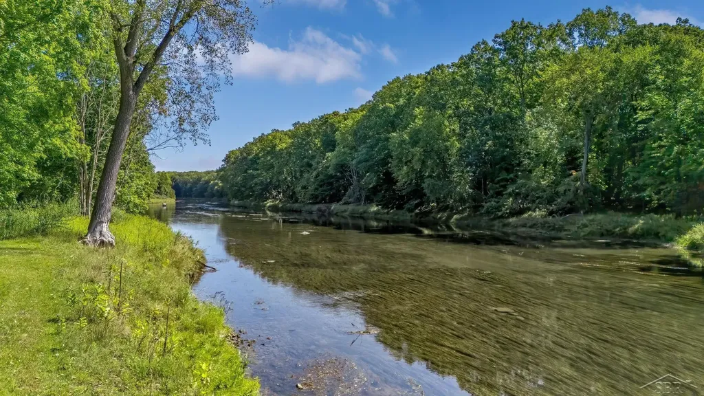 456/458 E Chippewa River Road Homer Township MI 48640