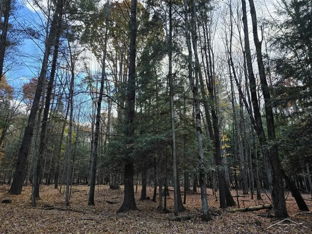 9191 Deerfield Court Morton Township MI 49346