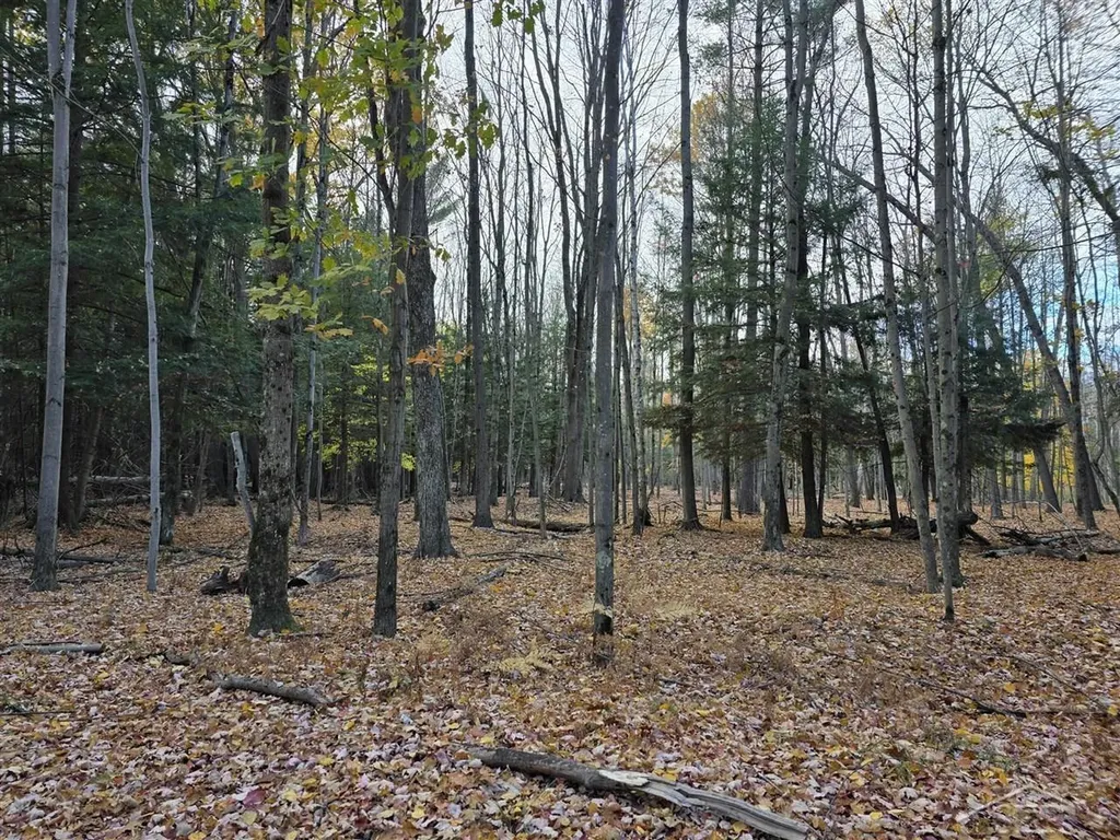 9191 Deerfield Court Morton Township MI 49346