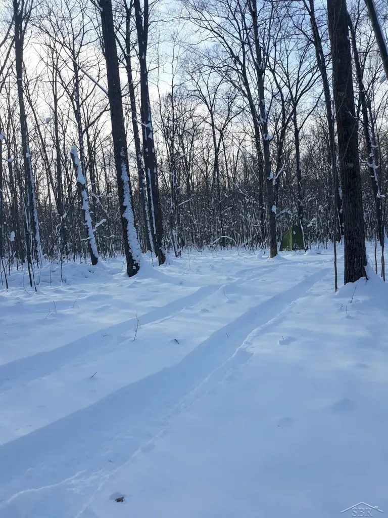 Vl Camp Domino Trail Rust Township MI 49746
