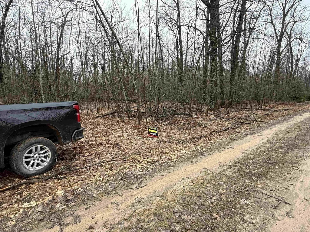 Vl Camp Domino Trail Rust Township MI 49746