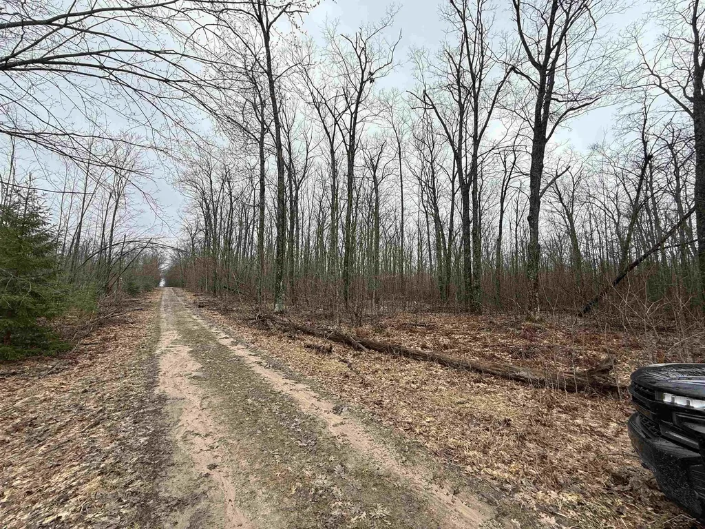 Vl Camp Domino Trail Rust Township MI 49746