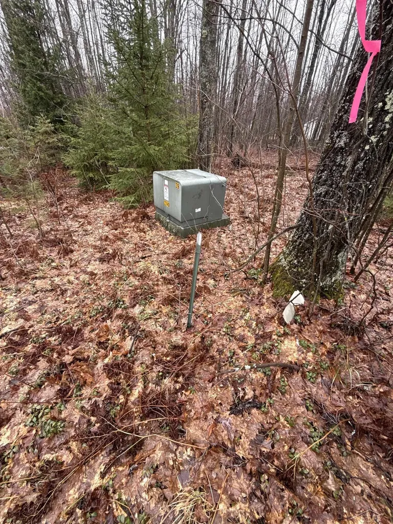 Vl Camp Domino Trail Rust Township MI 49746