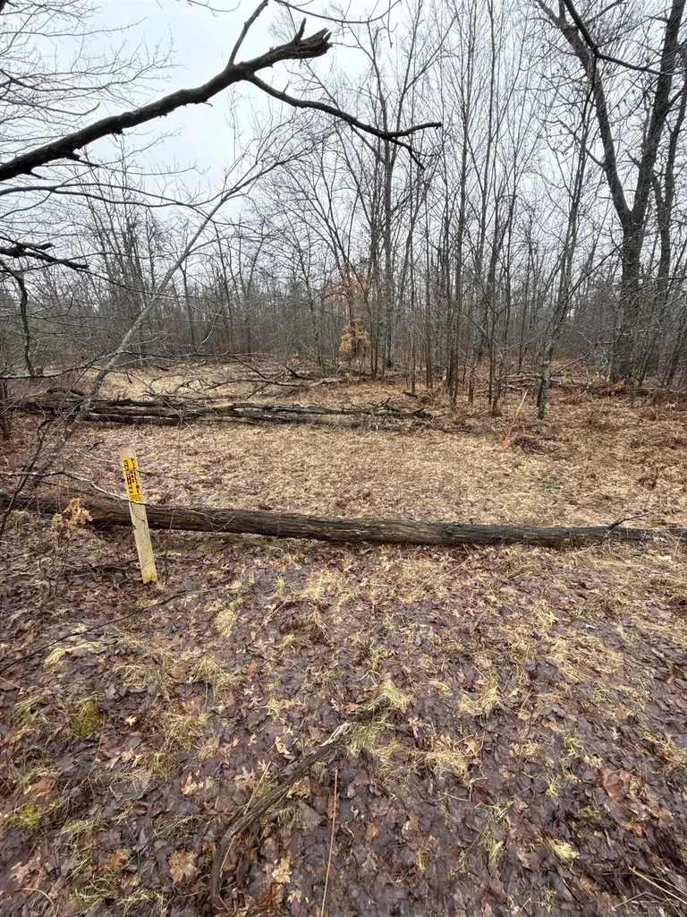 Vl Camp Domino Trail Rust Township MI 49746