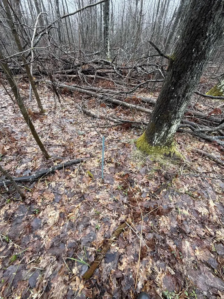 Vl Camp Domino Trail Rust Township MI 49746