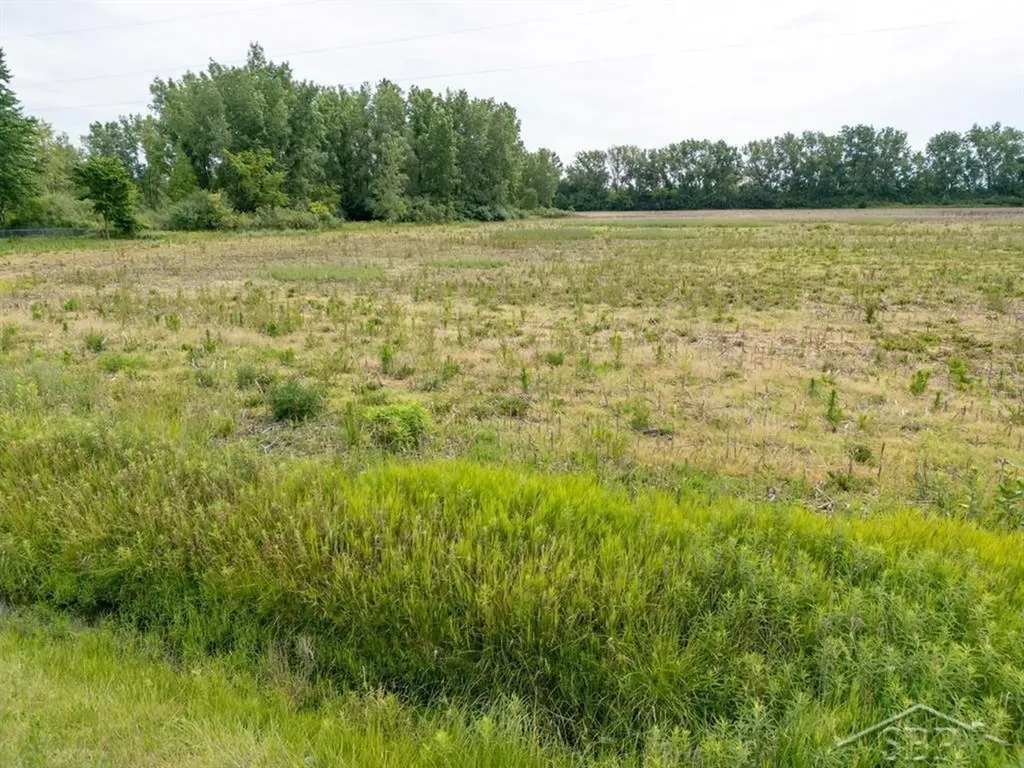 Parcel D 2.64 Acres N Center Road Kochville Township MI 48604
