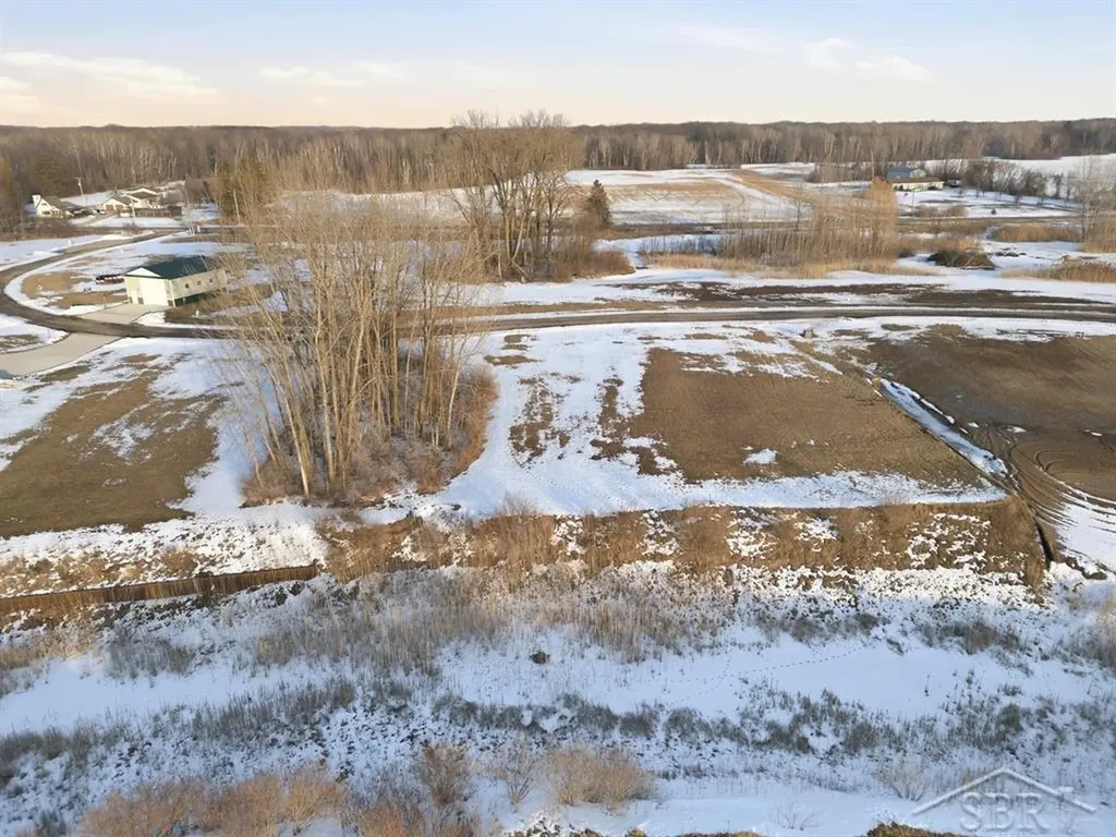Lot 9 E Shoreline Drive Hope Township MI 48628
