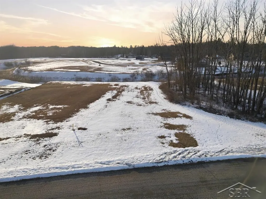 Lot 9 E Shoreline Drive Hope Township MI 48628