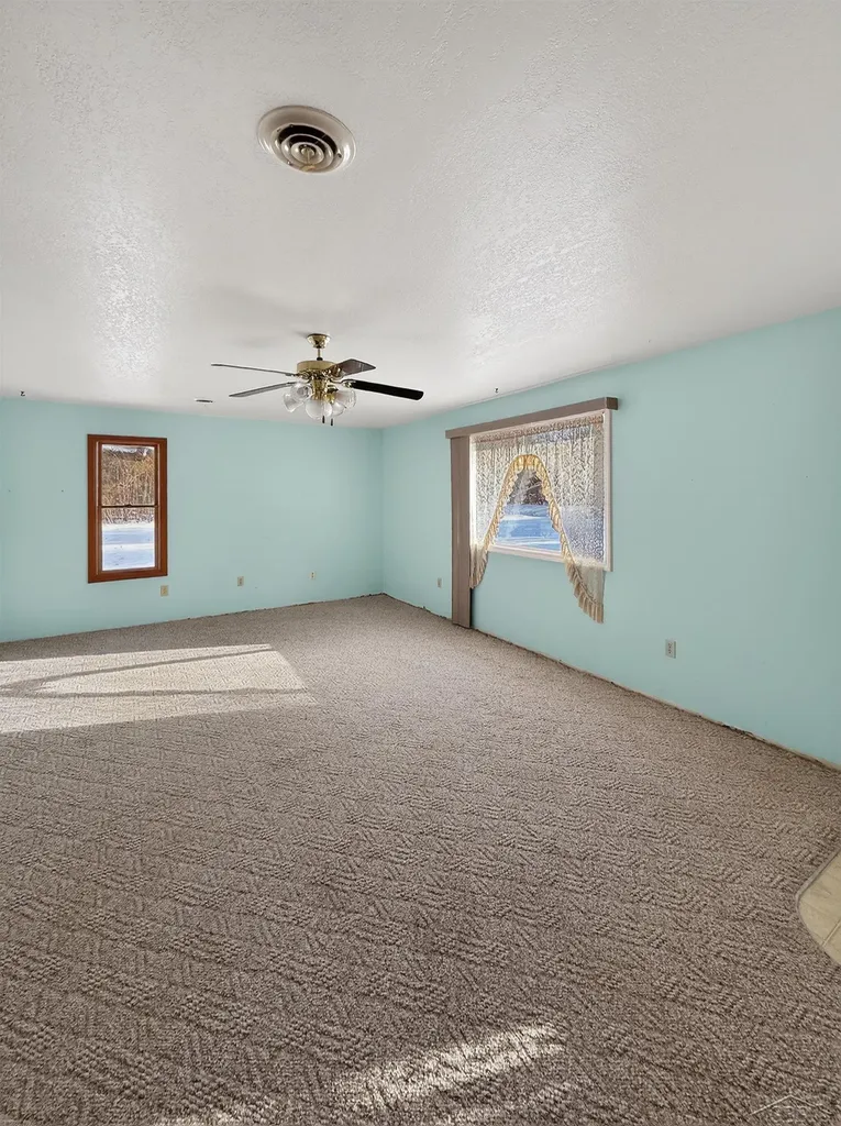 3636 E Nielson Road Geneva Township MI 48618