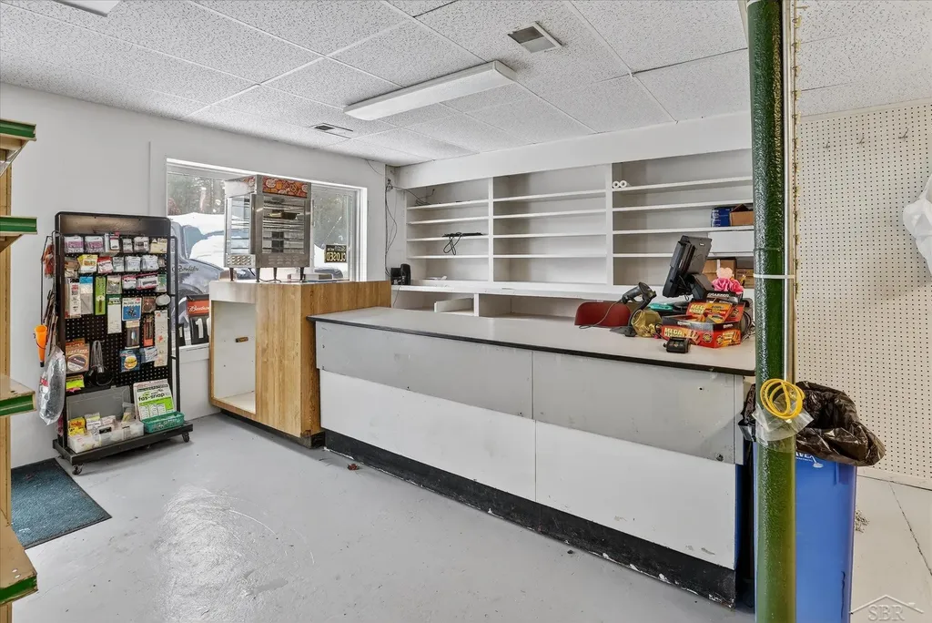10028 W Higgins Lake Drive Lyon Township MI 48653