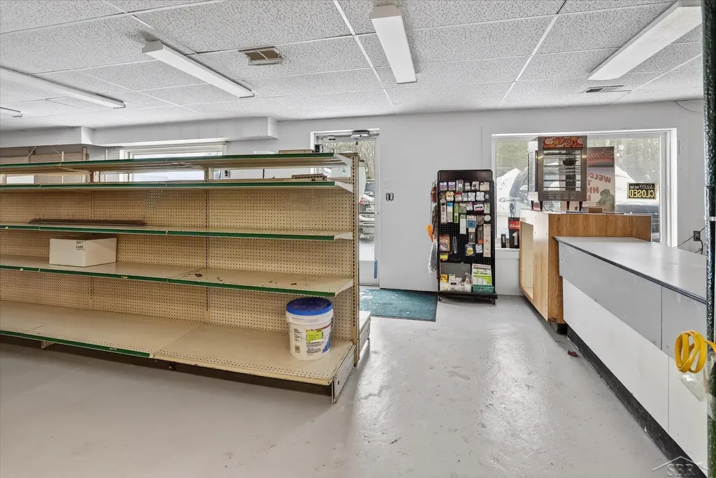 10028 W Higgins Lake Drive Lyon Township MI 48653