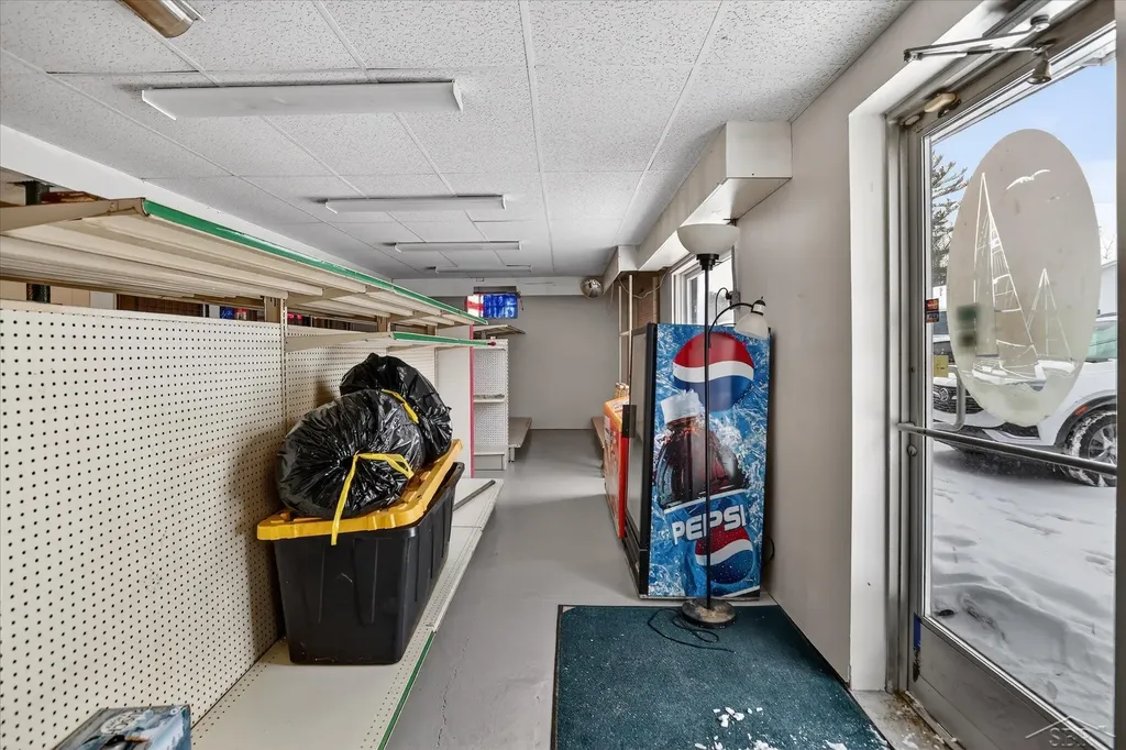10028 W Higgins Lake Drive Lyon Township MI 48653