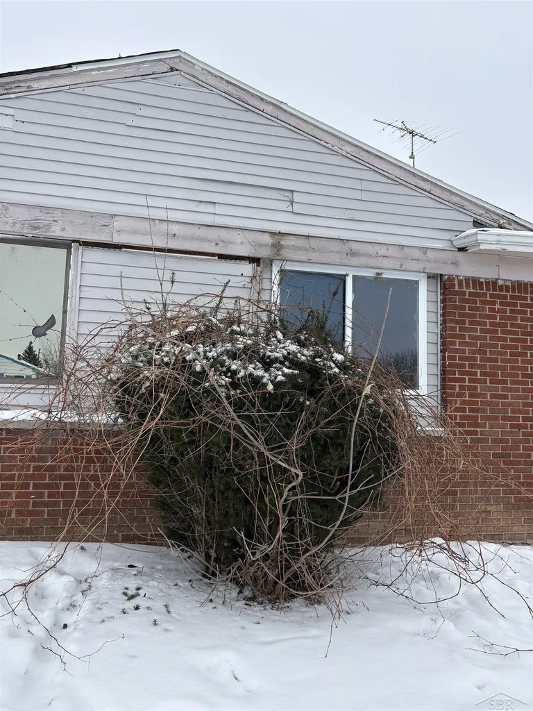6104 Hilton Lane Mt. Morris Township MI 48458