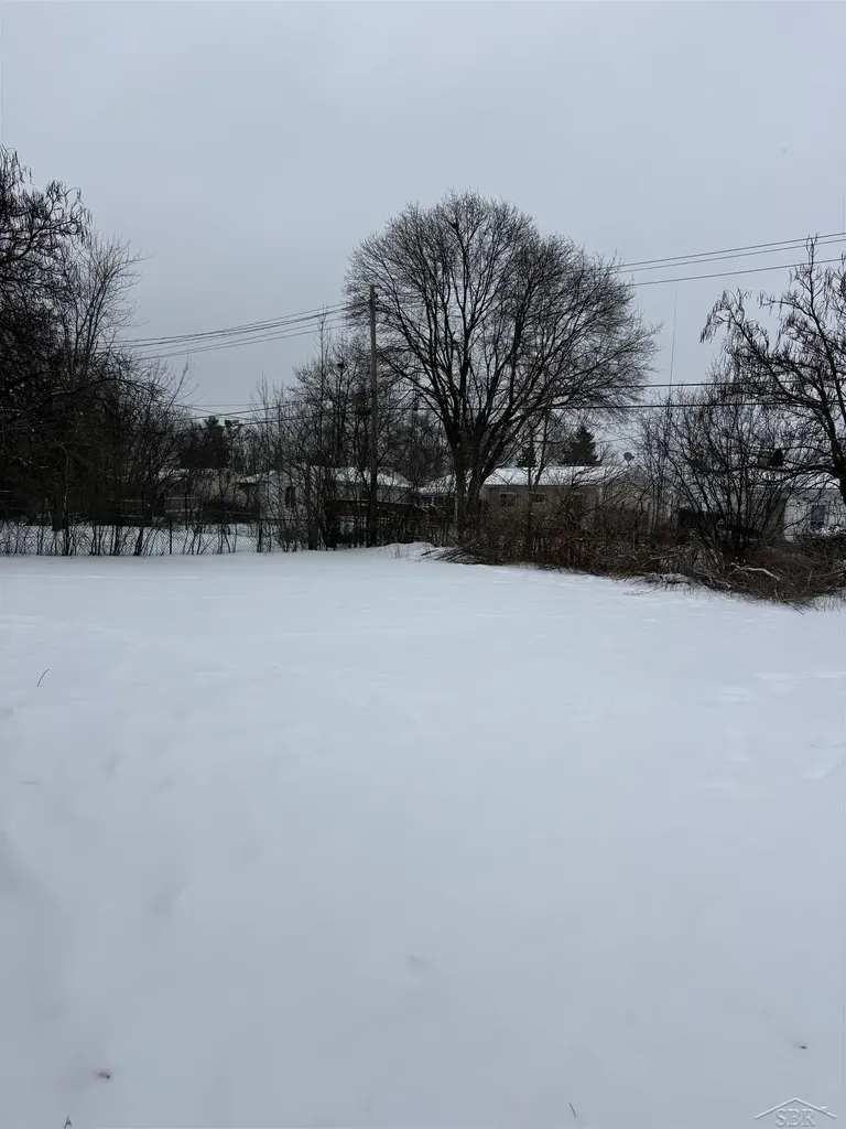 6104 Hilton Lane Mt. Morris Township MI 48458