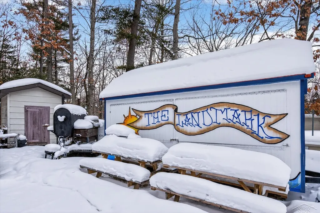 5937 W Higgins Lake Drive Lyon Township MI 48653