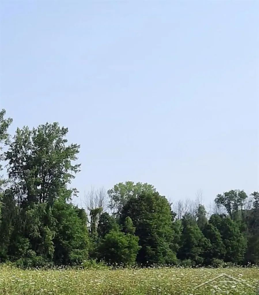 5120 N Five Mile Road Hope Township MI 48628