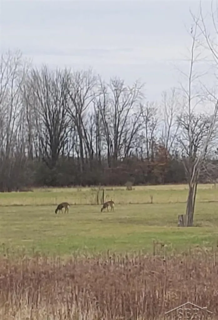5120 N Five Mile Road Hope Township MI 48628
