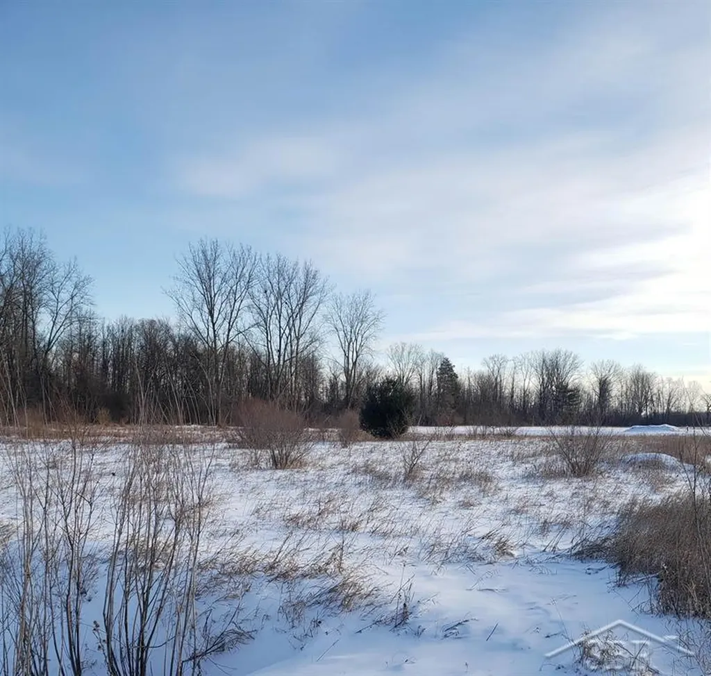 5120 N Five Mile Road Hope Township MI 48628
